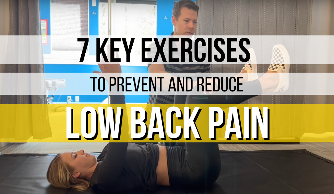 7 Key Low Back Exercises to Help Prevent & Reduce Pain