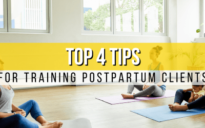 Considerations Working with Postpartum Population