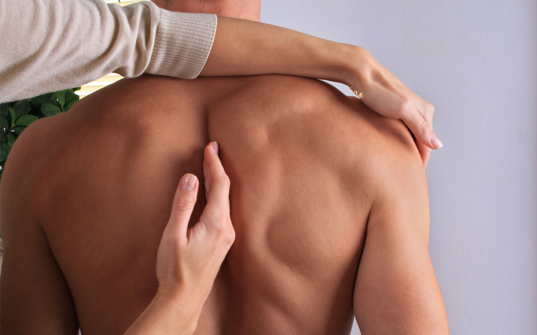 What to Look for in a Premier Chiropractic Clinic